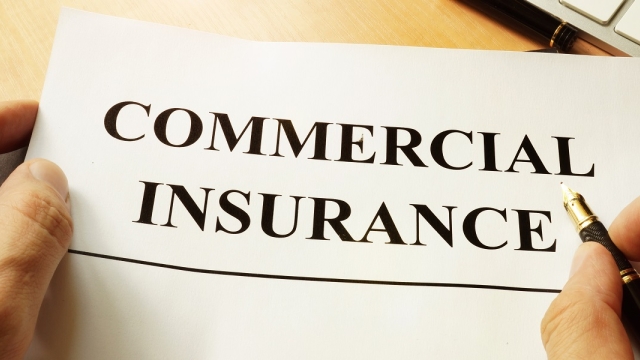 Shielding Your Business: The Essentials of Business Insurance