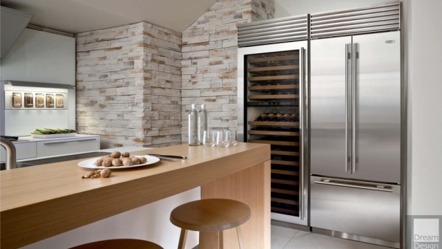 The Coolest Appliances: Sub Zero Secrets and Freezer Finds