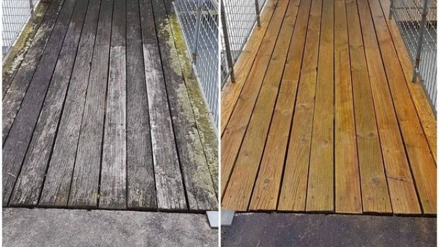 Revitalize Your Curb Appeal: Mastering the Art of Exterior Cleaning