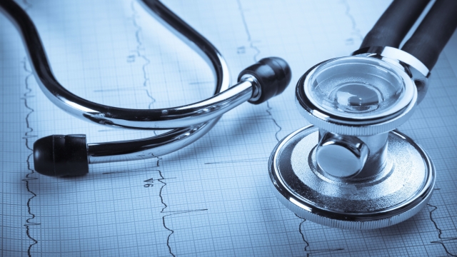 Transform Your Health by Focusing on Cellular Function
