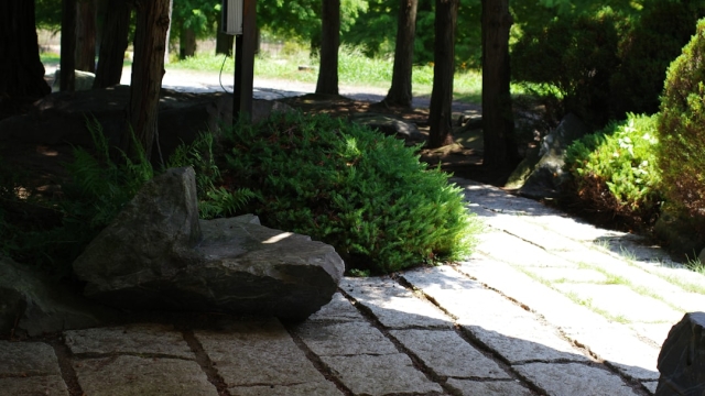 Understanding the Importance of Paver Cleaning