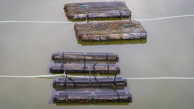 Understanding Integrated Aquaculture Systems Definition and Components