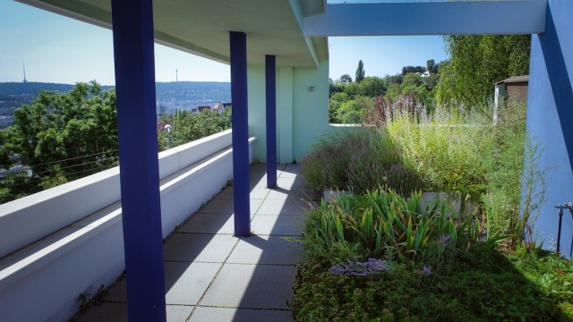 Essential Lawn Care Tools A Guide to Must Have Equipment